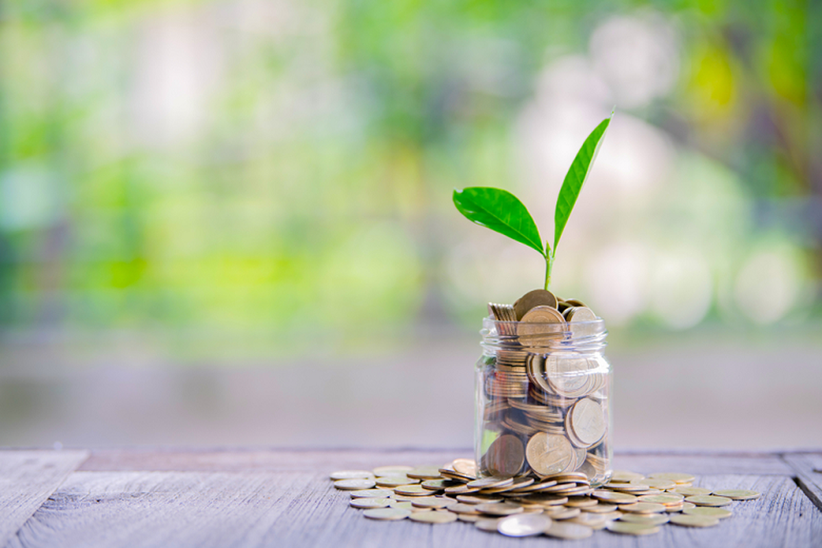 Cara Investasi Sesuai Kemampuan agar Keuangan Makin Berkembang 3 Cara Investasi Sesuai Kemampuan