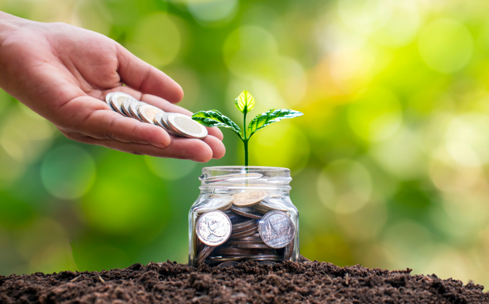 Cara Memulai Investasi dengan Modal Kecil Rp100 Ribu 4 Cara Memulai Investasi dengan Modal Kecil