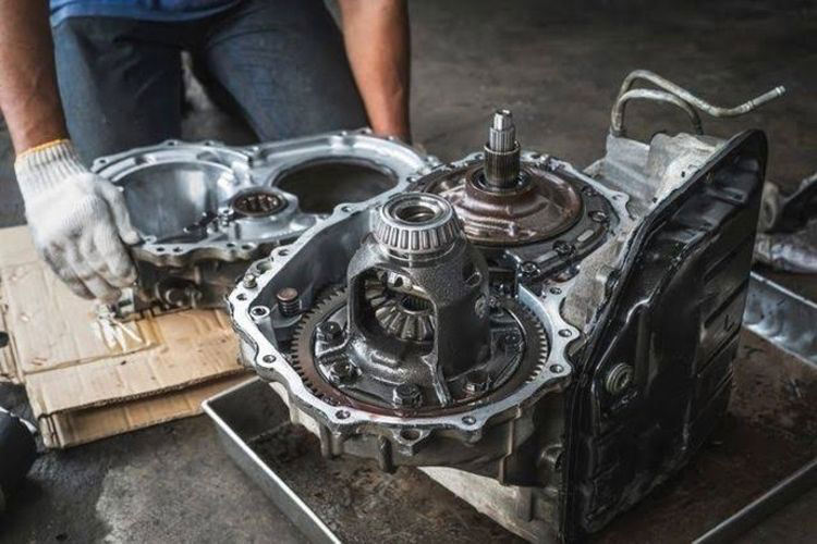 Ciri-Ciri Seal Gearbox Bocor